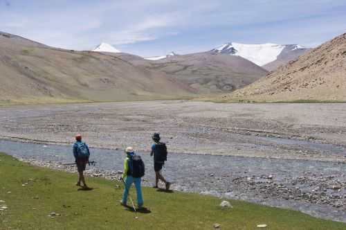 TREKKING IN LADAKH | CHANGTANG 2017